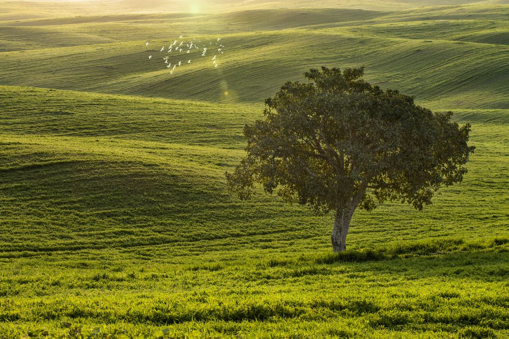 Photograph by Горбачева Маментьева Татьяна