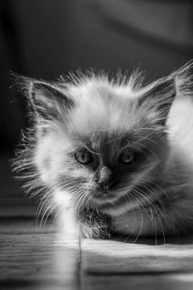 Photograph by Ирина Рыжова