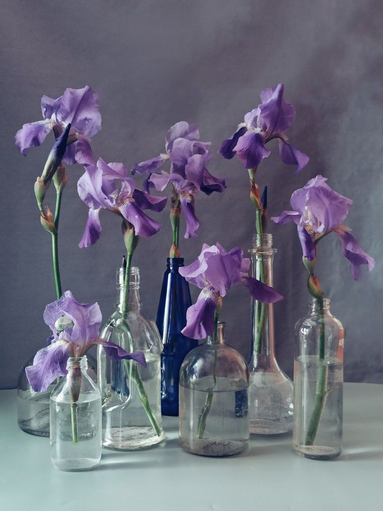 Photograph by Новикова Елена Сергеевна