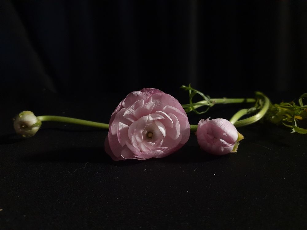 Photograph by Ирина Рыжова