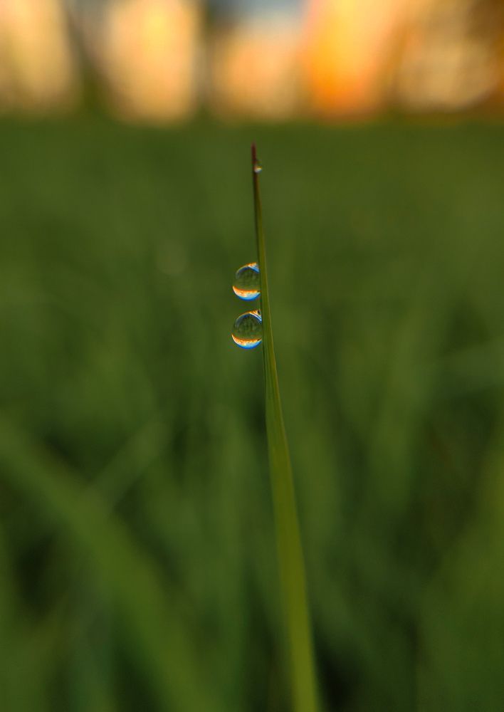 Photograph by Светлана Фоменко