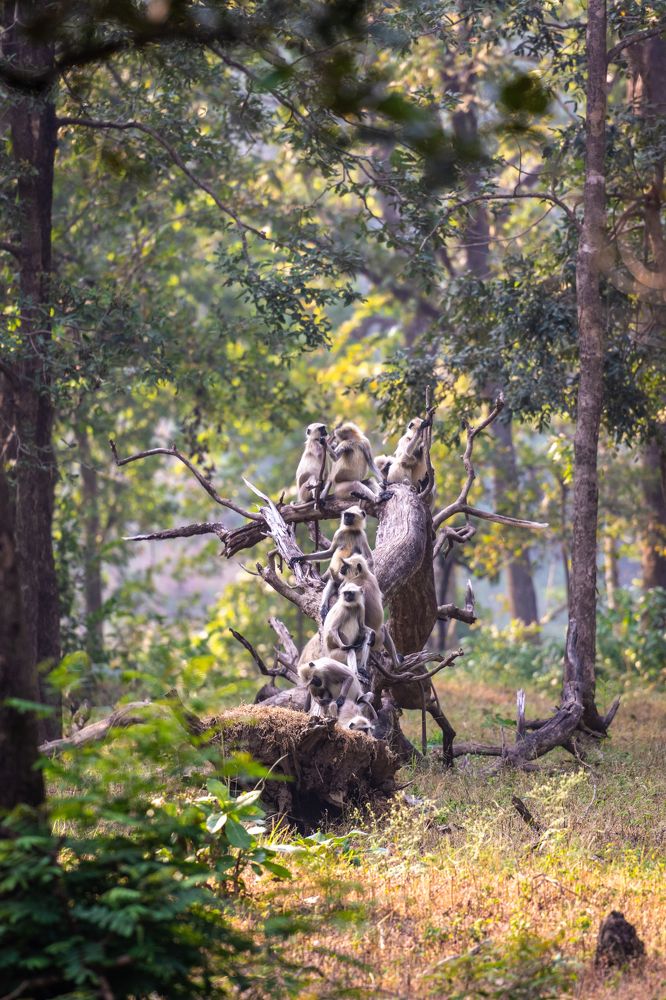 Photograph by Shubhrangshu Chatterjee