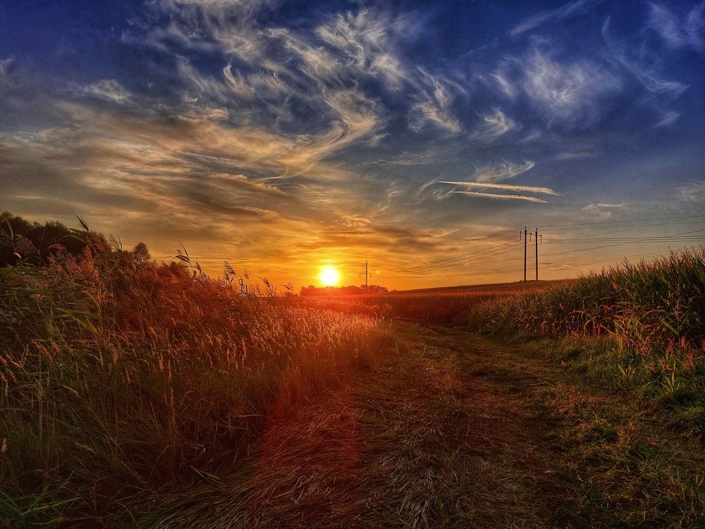 Photograph by Ольга Остапенко