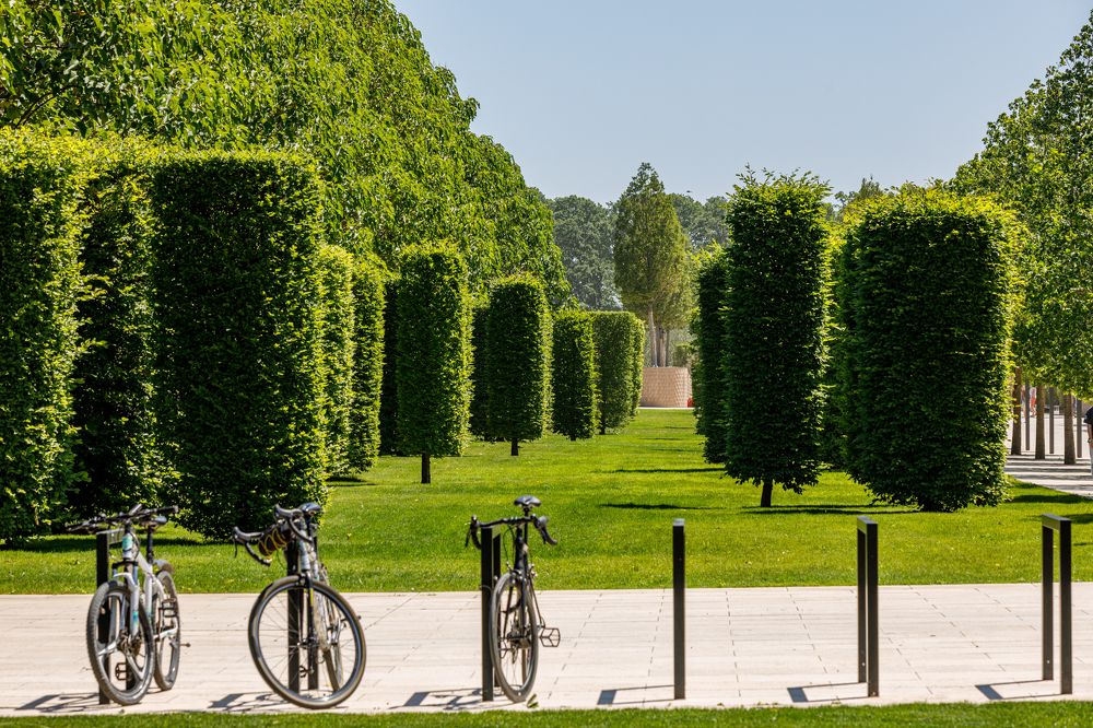 Фотография автора Николай Лысенко