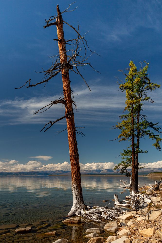 Photograph by Денис Дорошенко