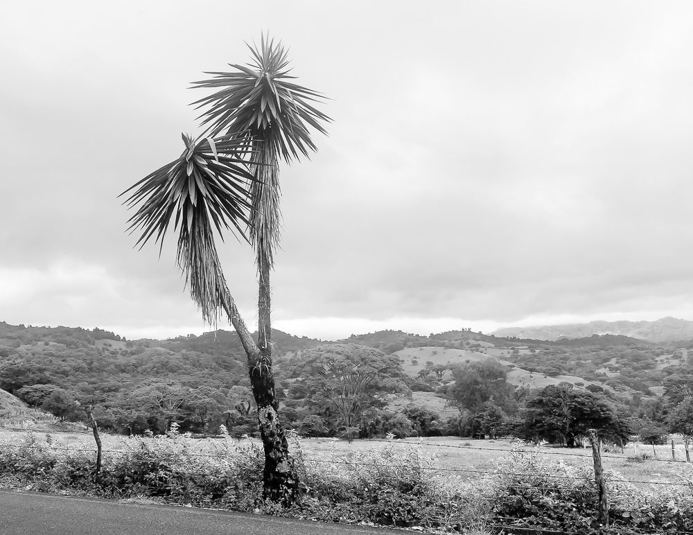 Photograph by Armando López-Guerrero