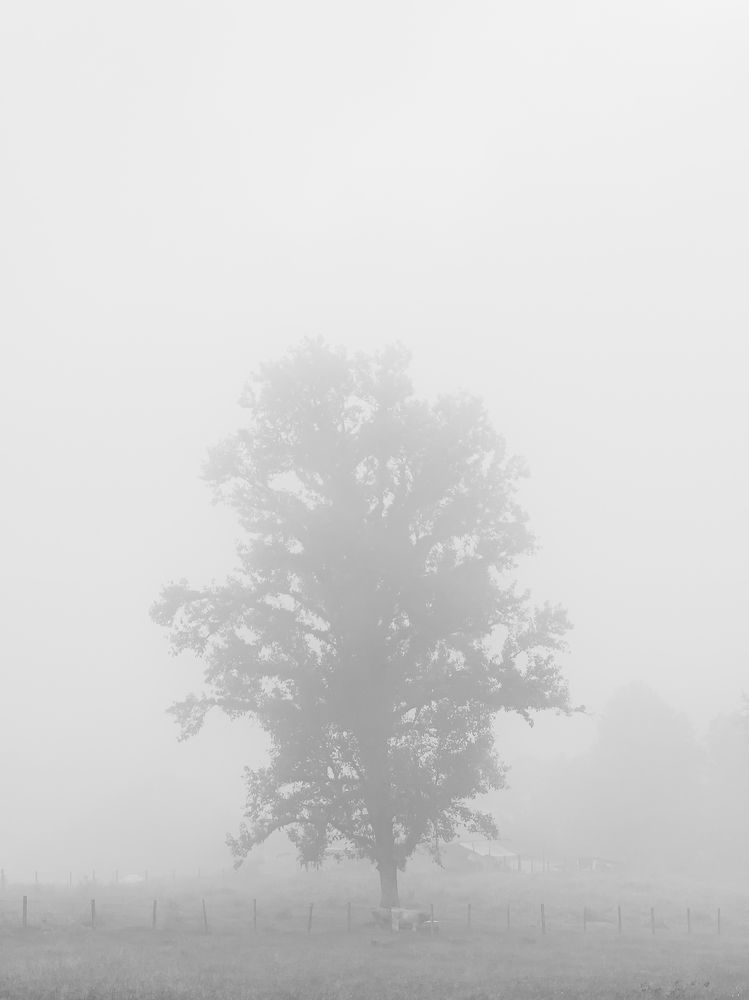 Photograph by Armando López-Guerrero