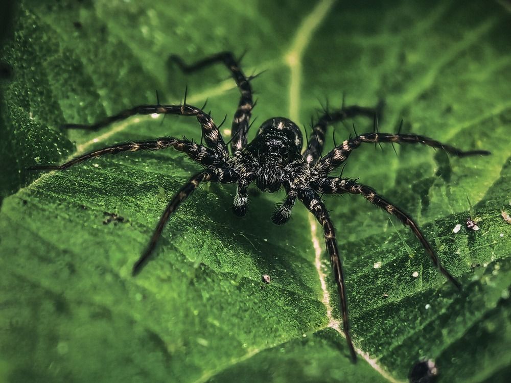 Photograph by Kate Maximenko