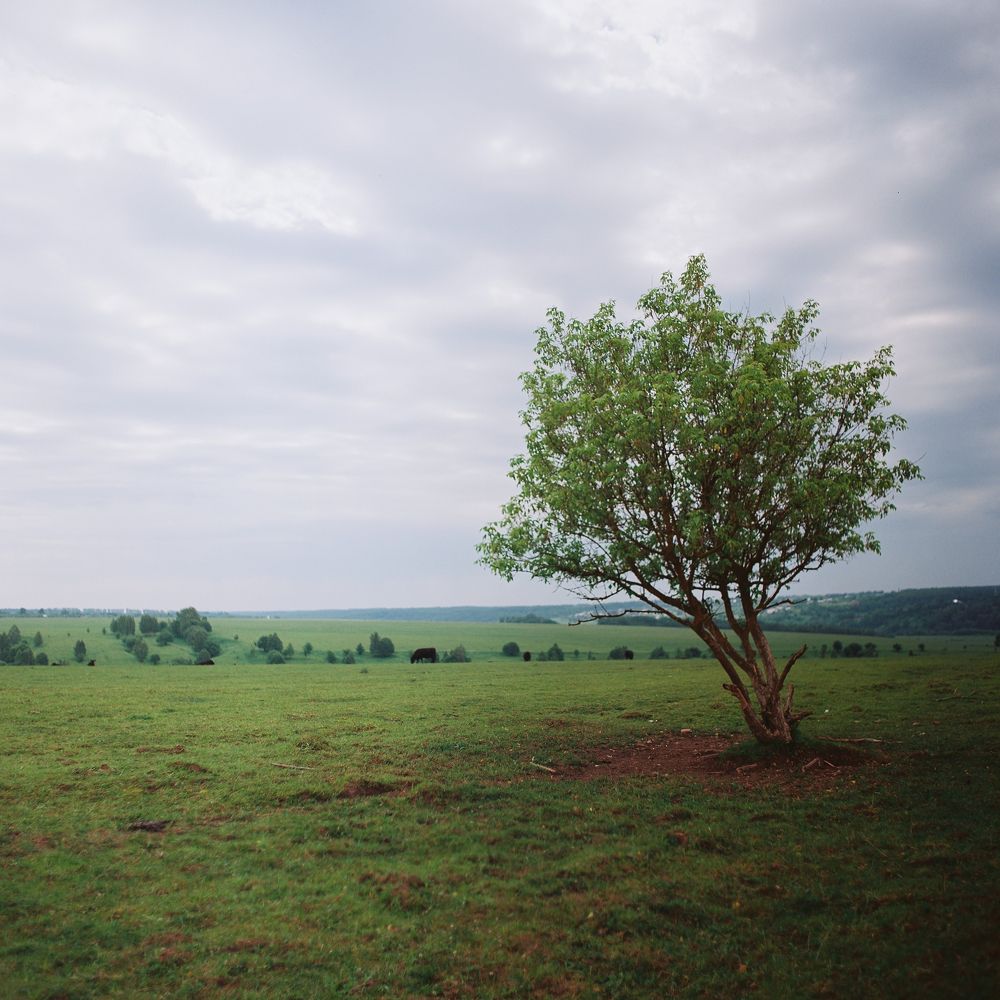 Photograph by Ilya Sergeevich