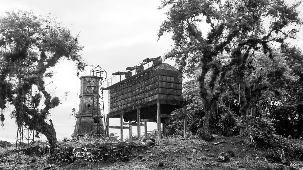 Photograph by Armando López-Guerrero