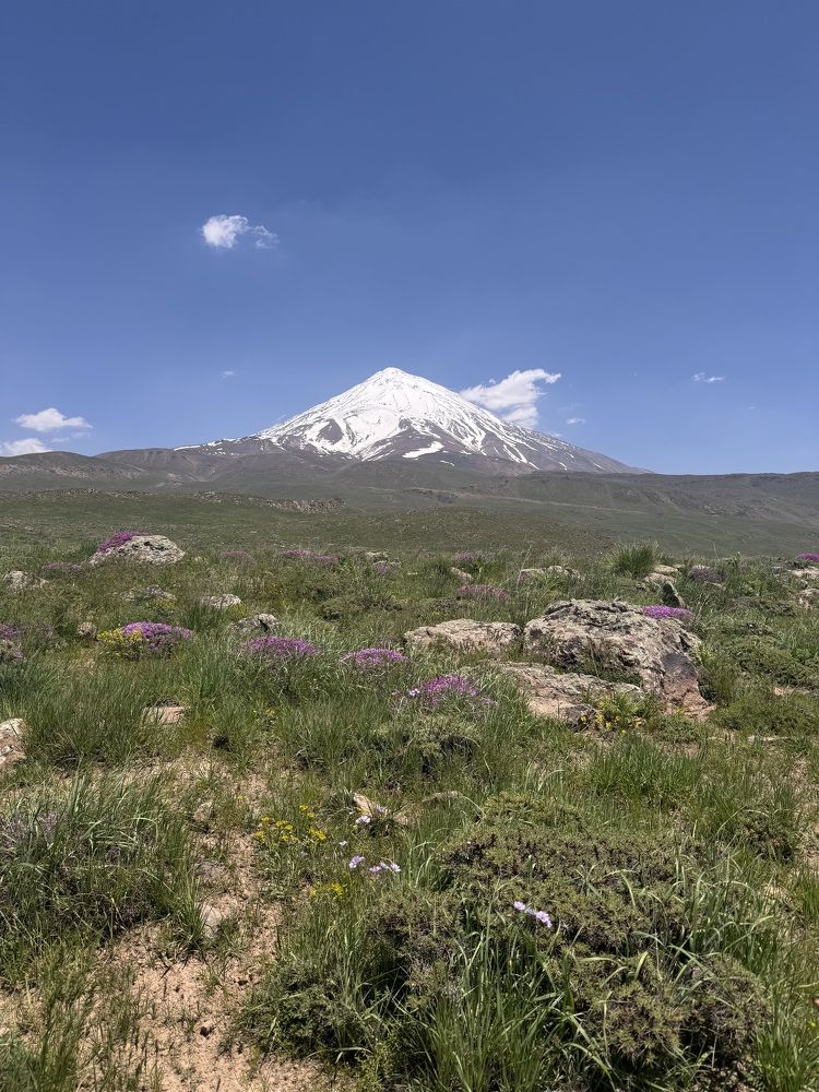 Photograph by Mahnaz Mohsenzadeh Kermani