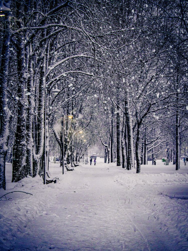 Photograph by Liga Prigoda