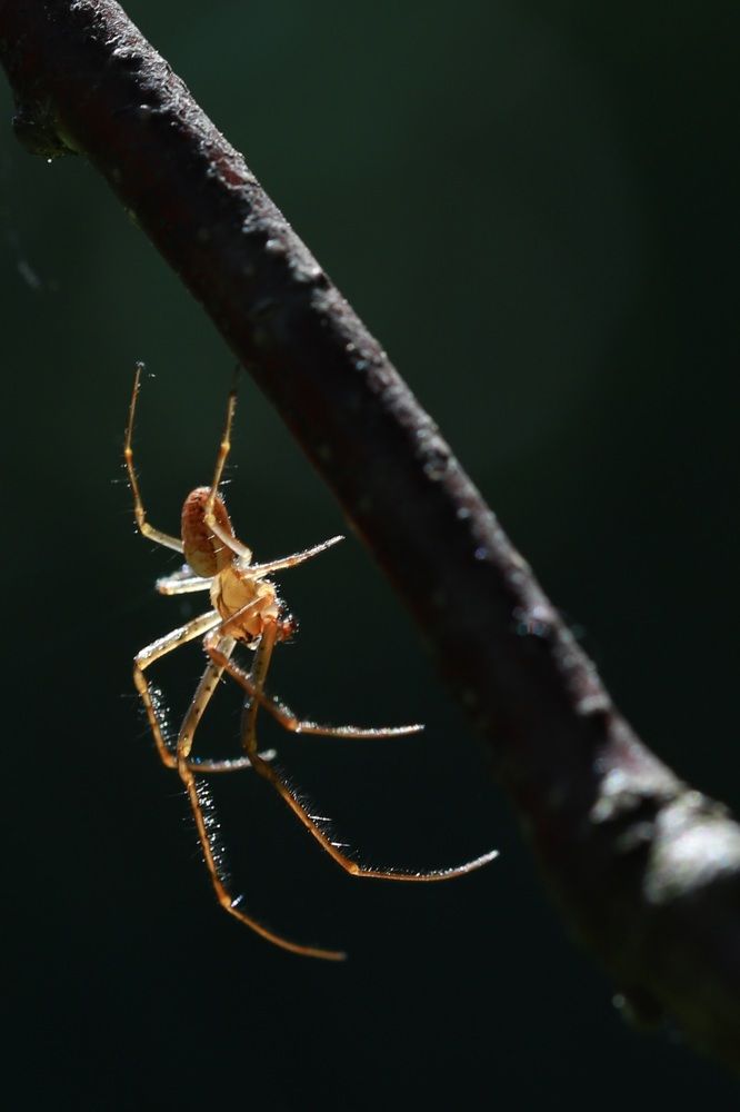 Photograph by Елена Тимченко