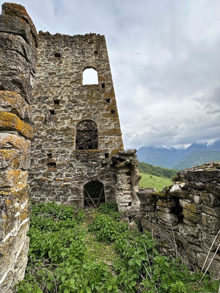 Photograph by Мария Алейникова