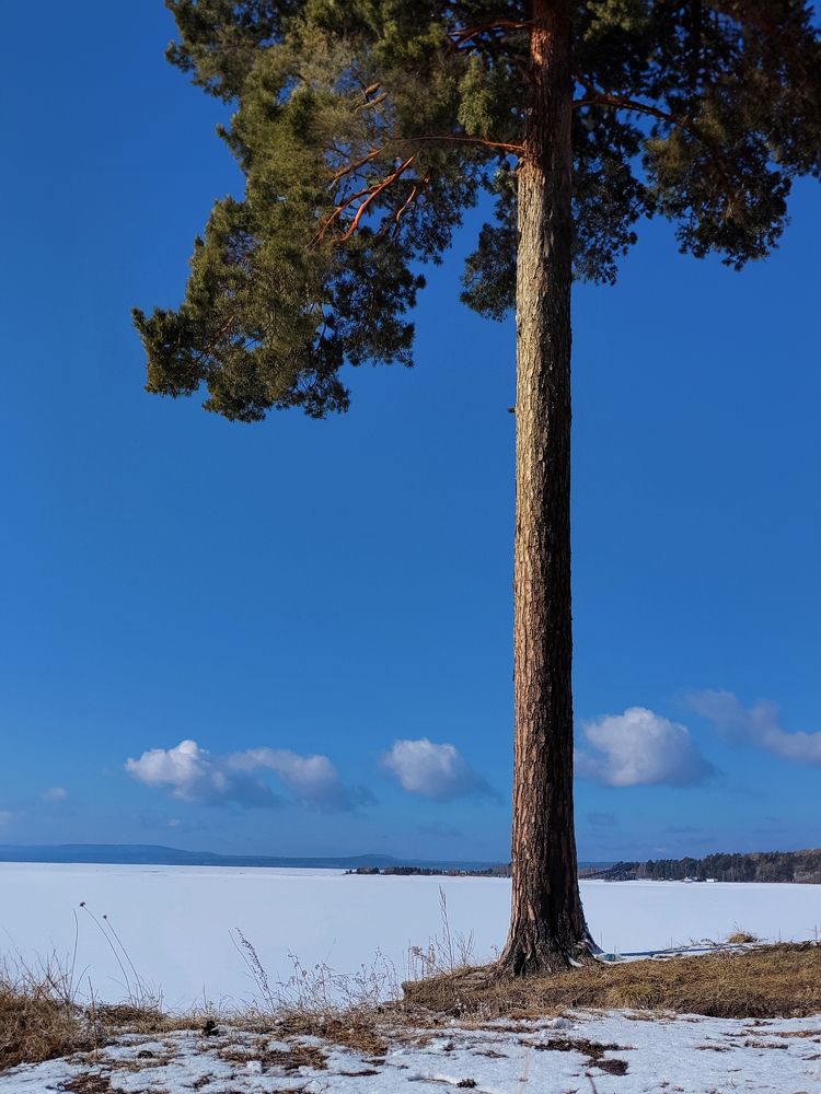 Photograph by Елена Шишкина