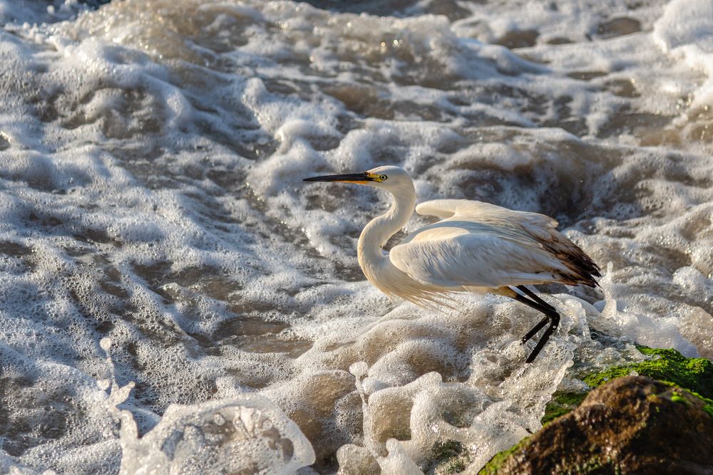 Photograph by Марина Ческис
