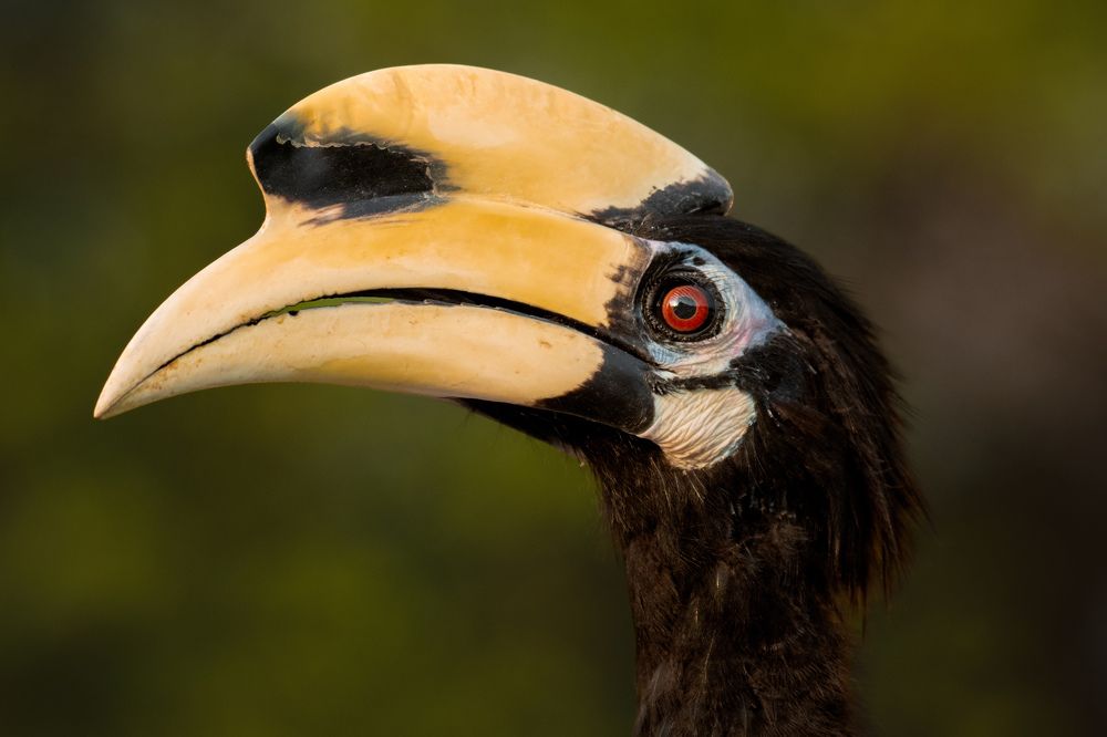 Photograph by Keng Fai Kok