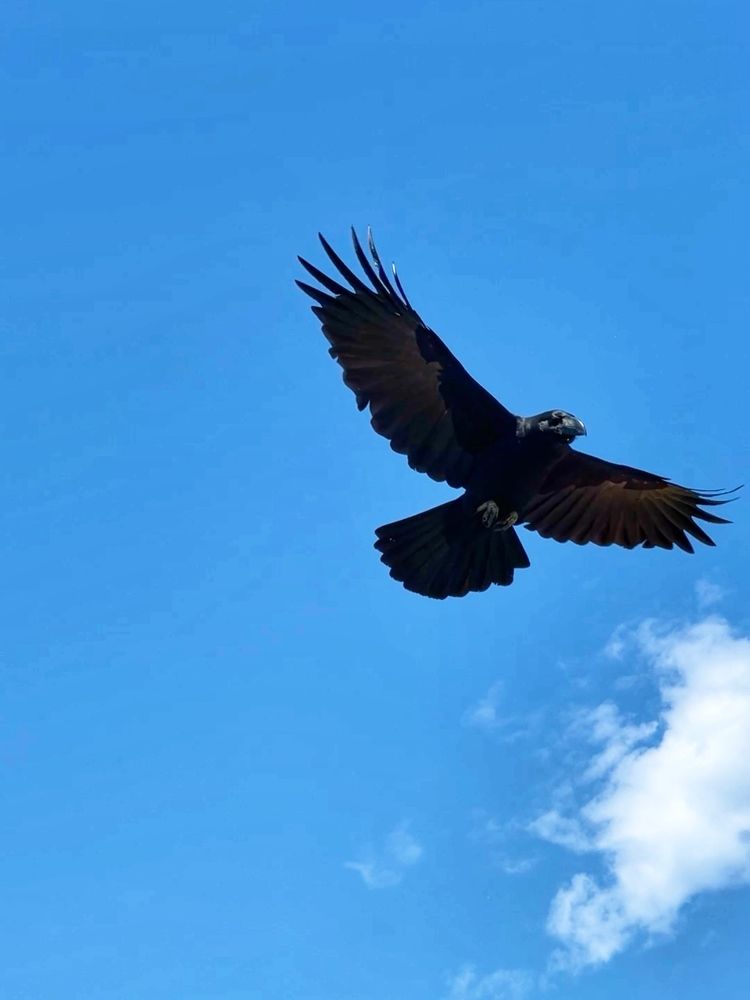 Фотография автора Елена Меньшикова