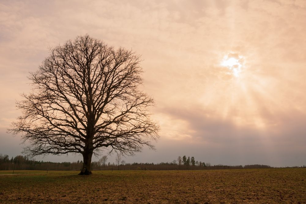 Photograph by Agita Leimane