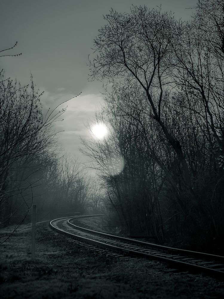 Фотография автора Nomin Jerabek