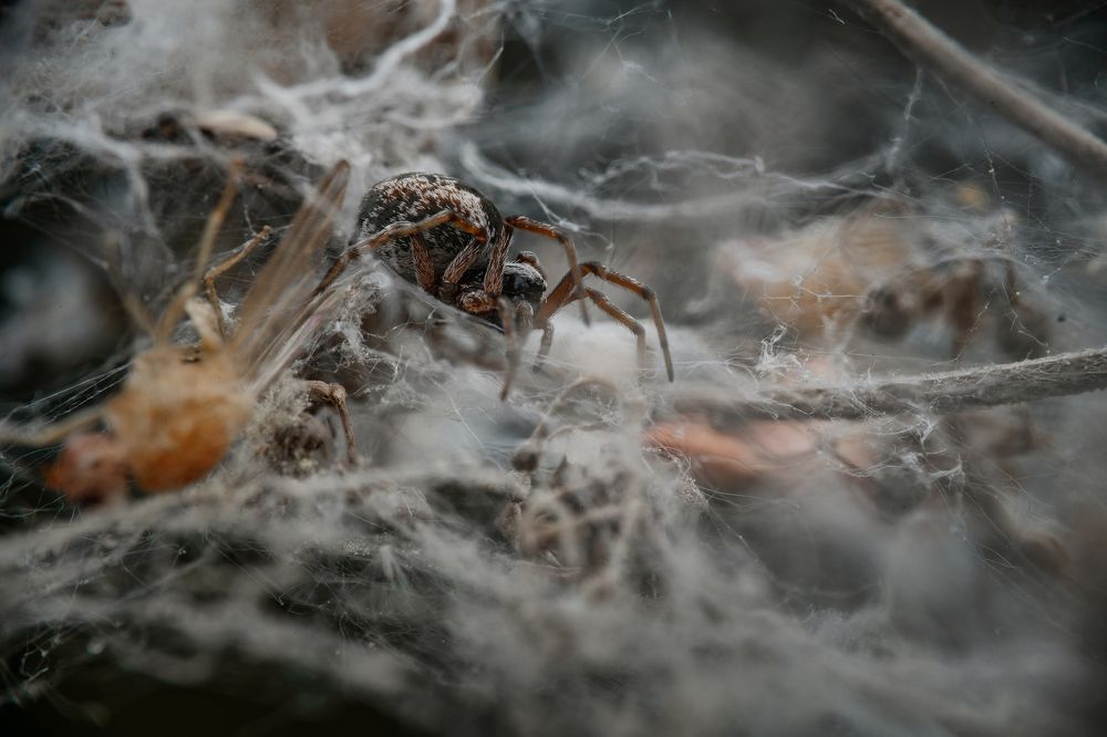 Photograph by Konstantin Shiryaev