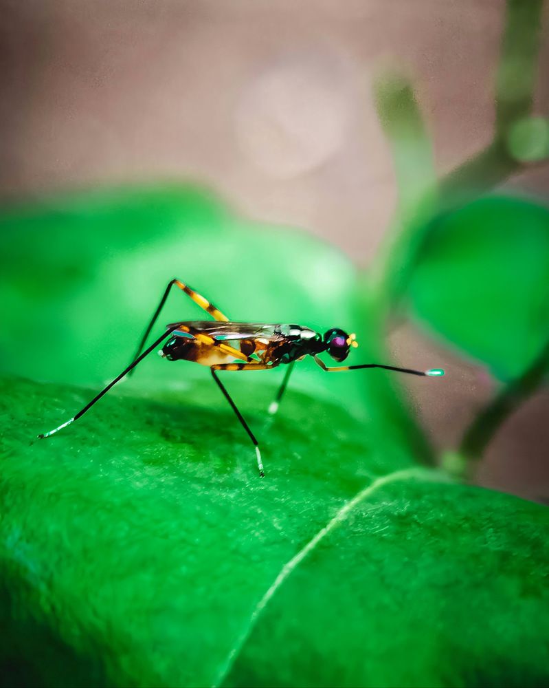 Photograph by Aaron R S