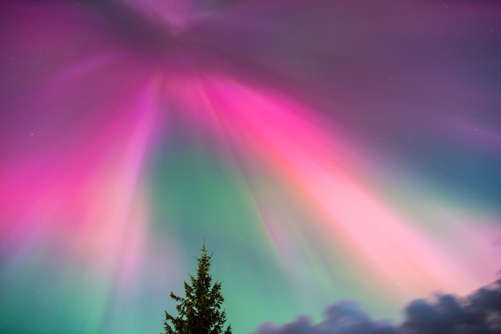 Фотография автора Виктор Конев