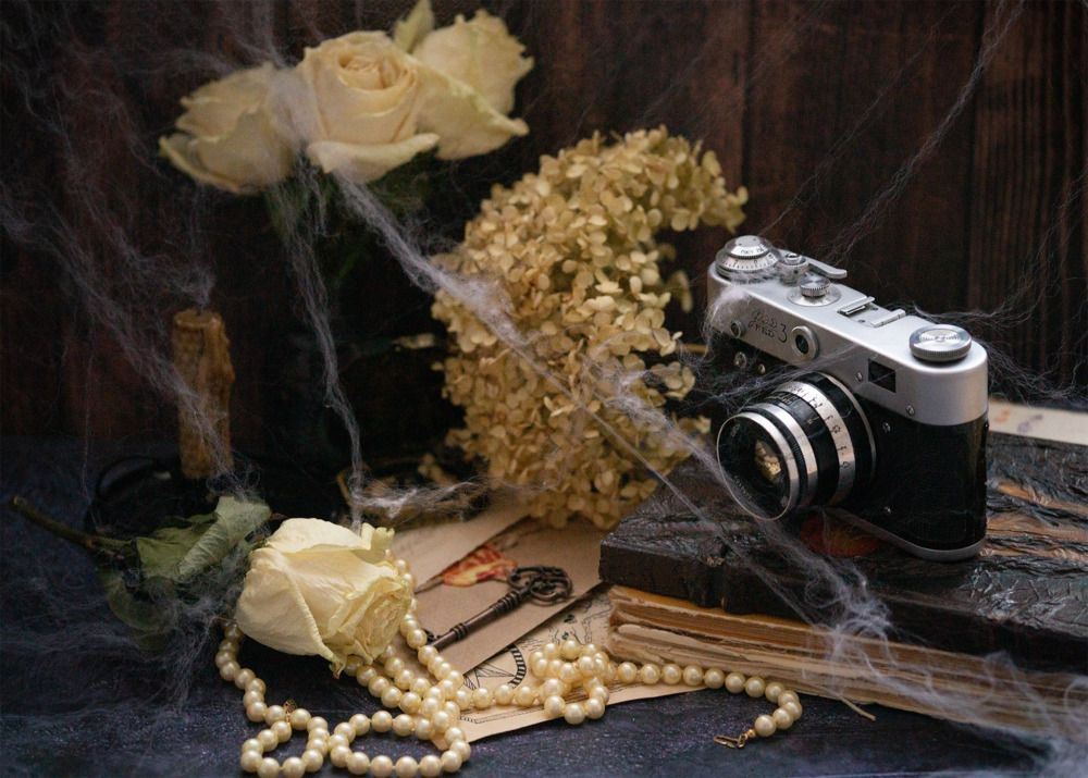 Photograph by Екатерина Одинцова