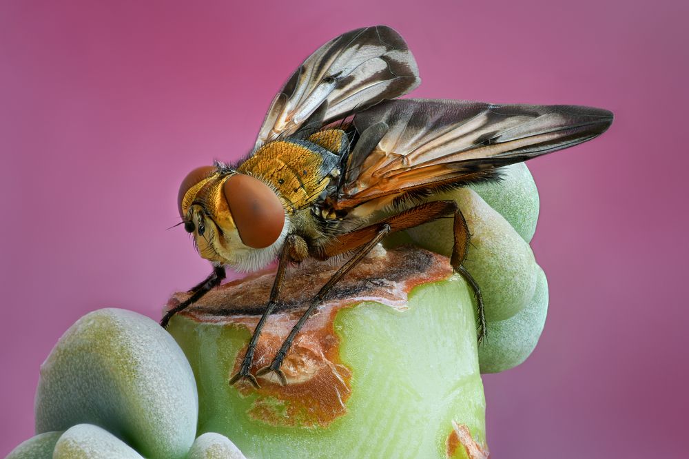 Photograph by Антон Финевич