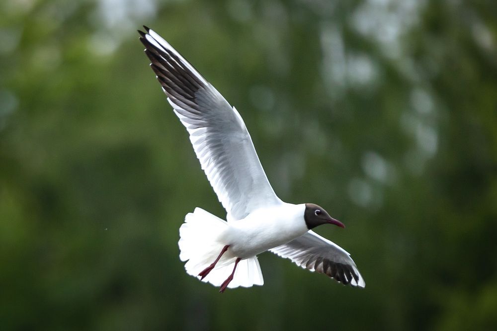 Photograph by Владимир Охрименко