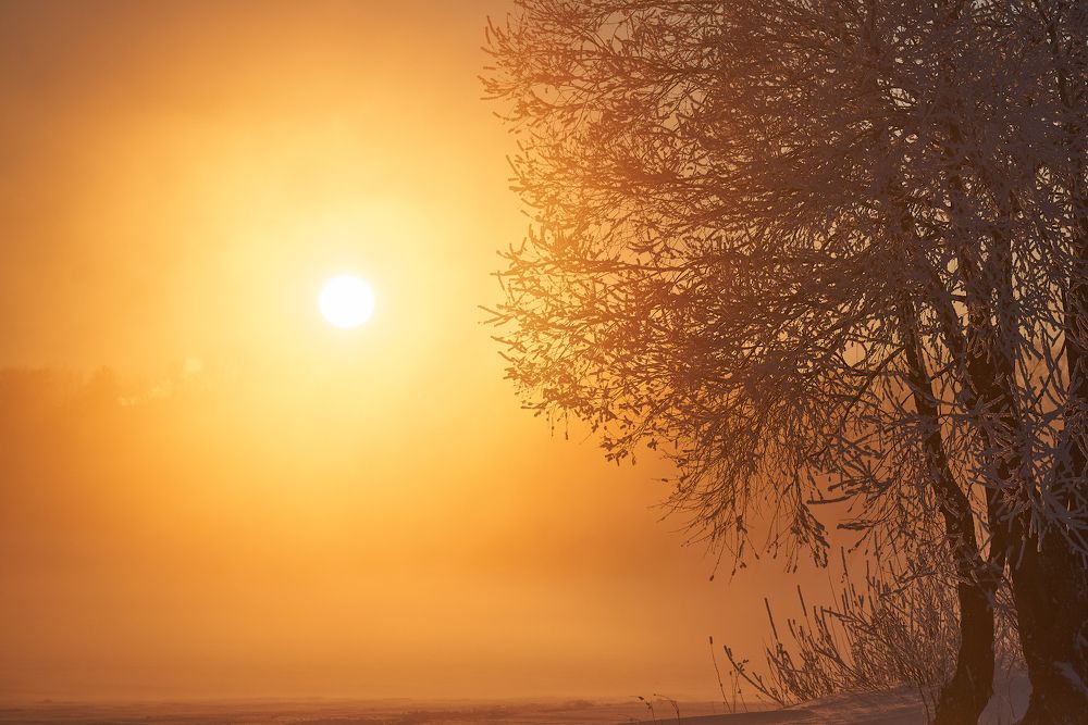 Фотография автора Антон Михайлов