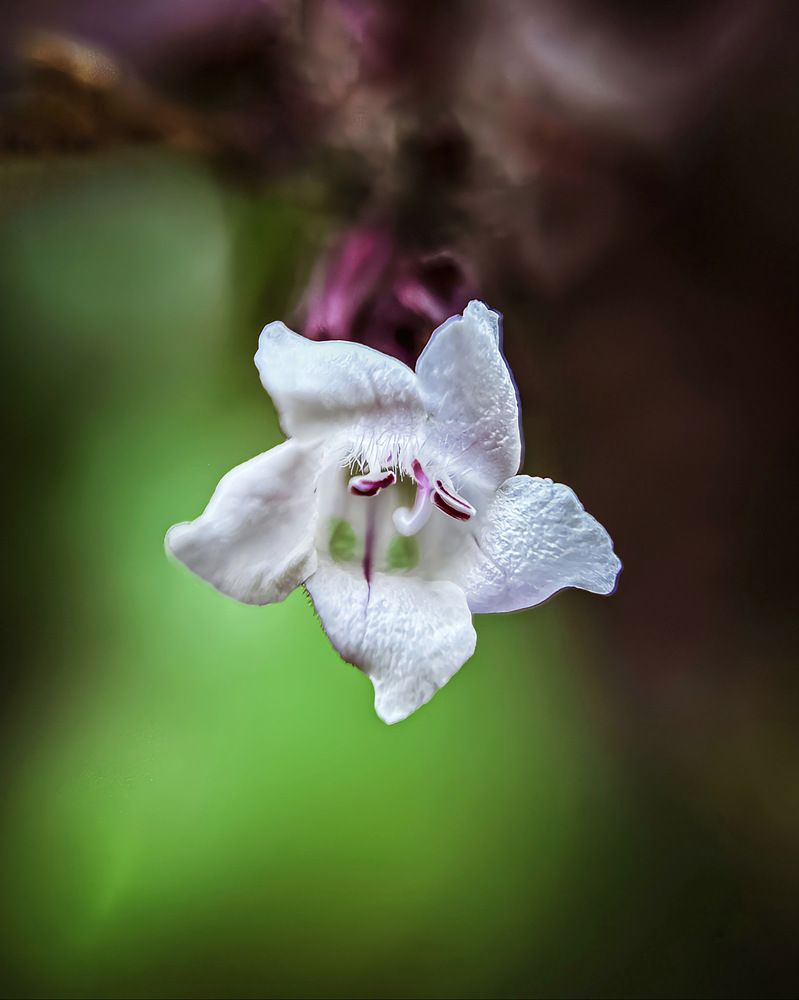 Photograph by Aaron R S