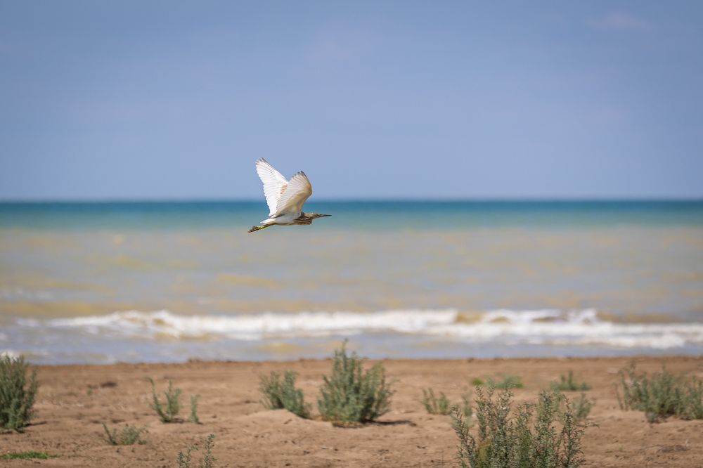 Photograph by Владимир Охрименко