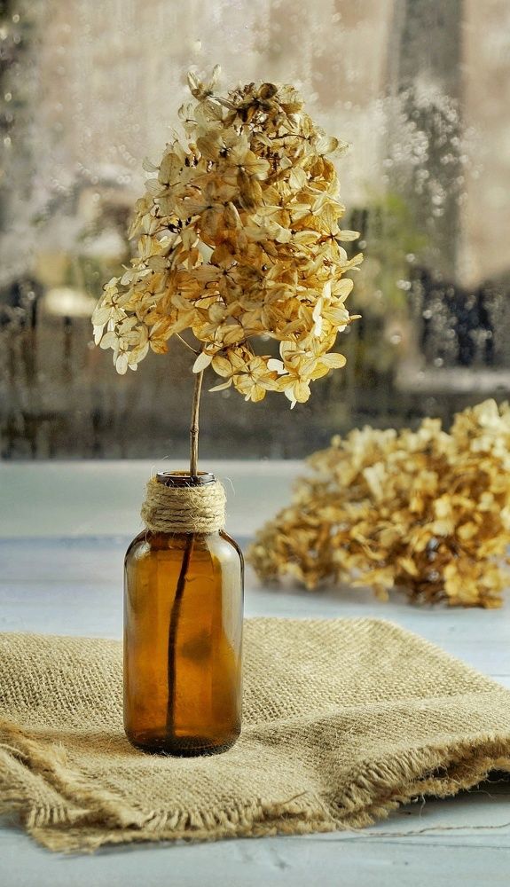 С нами случилась осень...