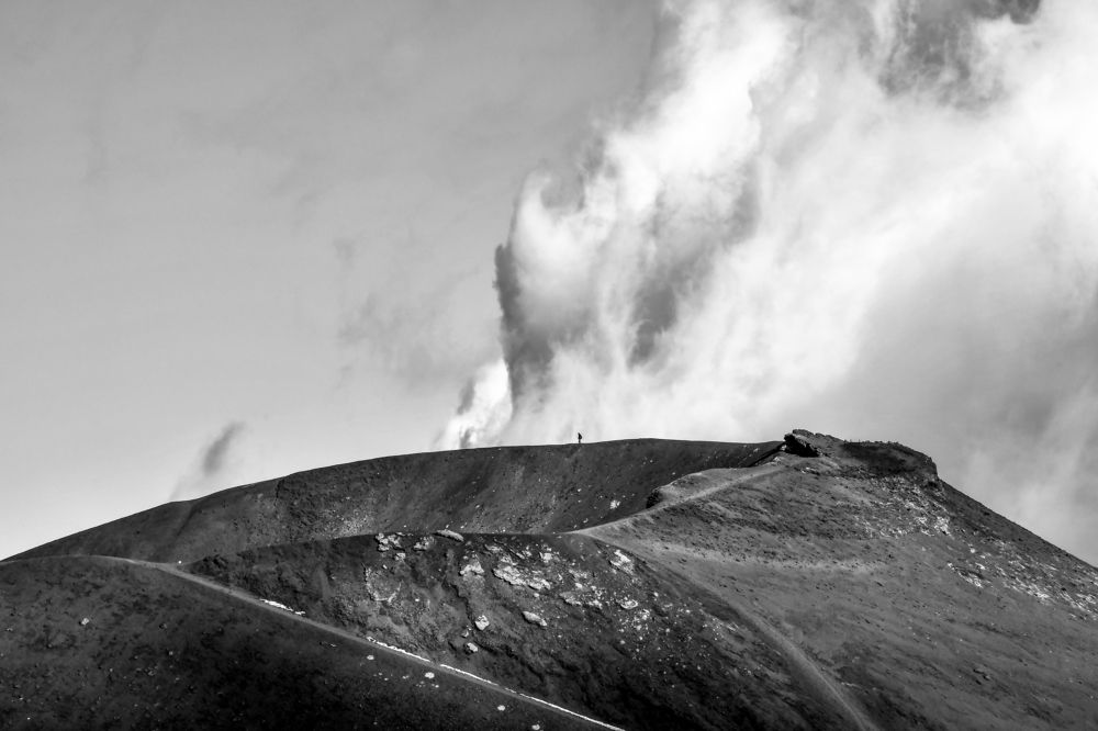 Photograph by Teresa Molinaro