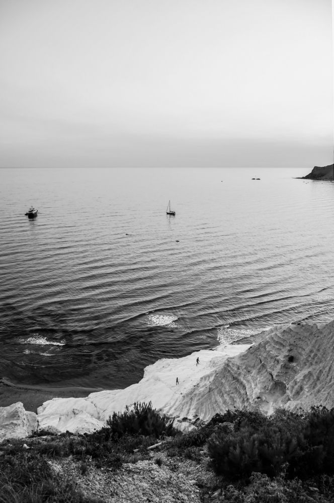 Photograph by Teresa Molinaro