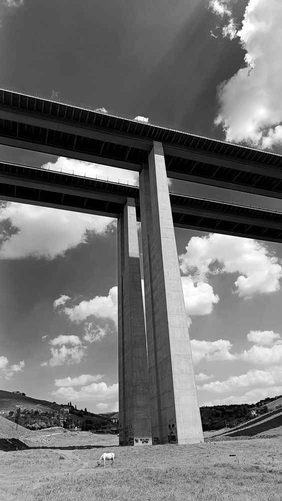 Photograph by Ирина Эрон