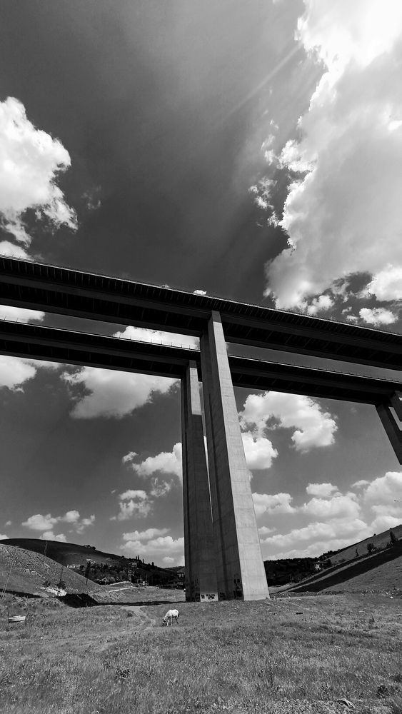 Photograph by Ирина Эрон