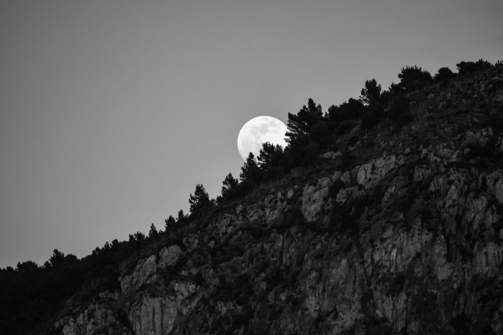 Photograph by Teresa Molinaro