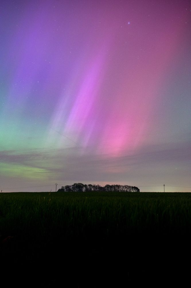 Photograph by Pierre Pierron