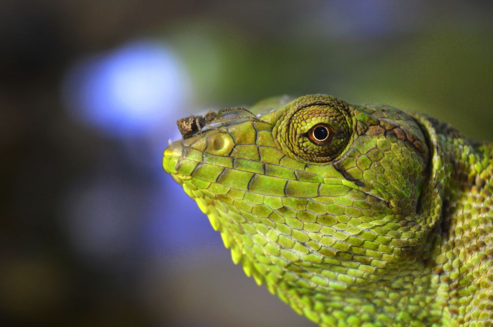 Photograph by Johan Romero Garcia