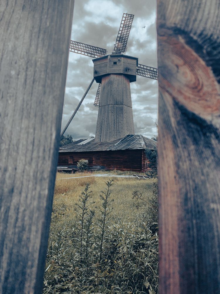 Photograph by Наталья Манжиева