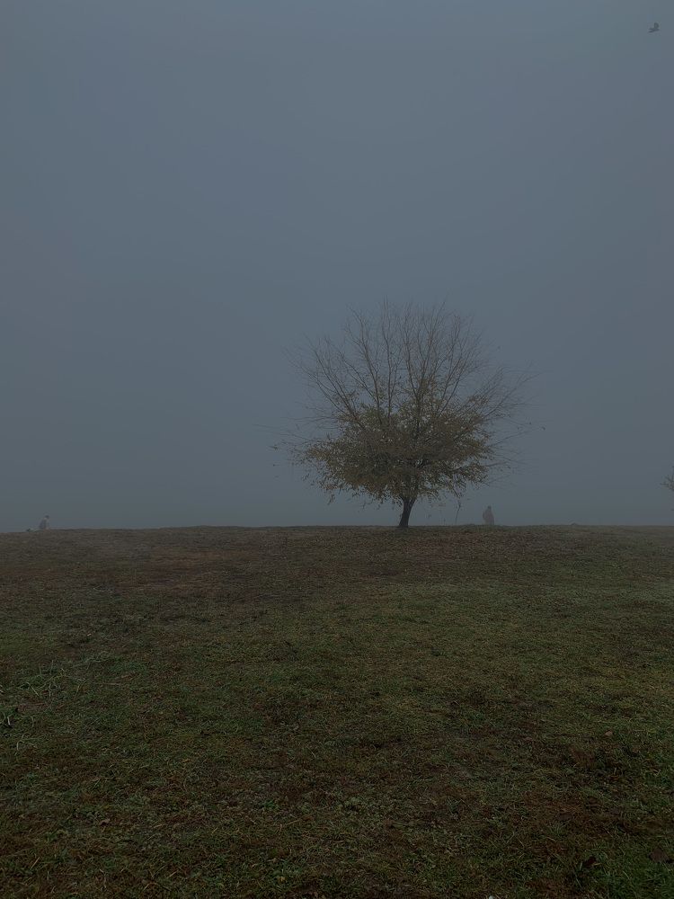Photograph by Наталья Манжиева