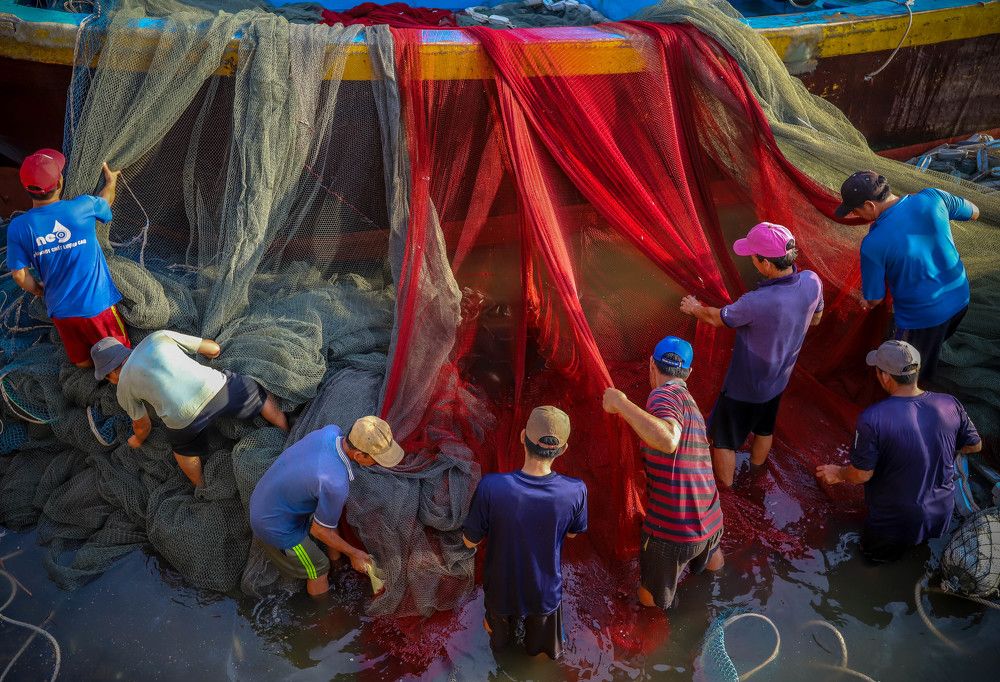 Photograph by Tran Duc Luu