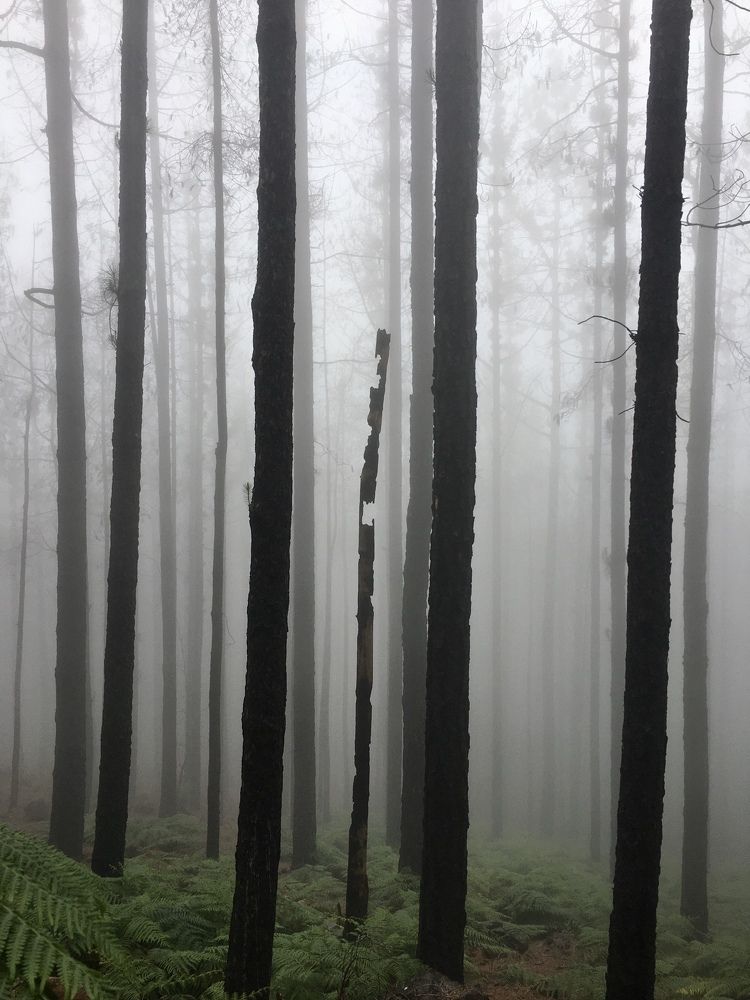 La naturaleza y su ciclo
