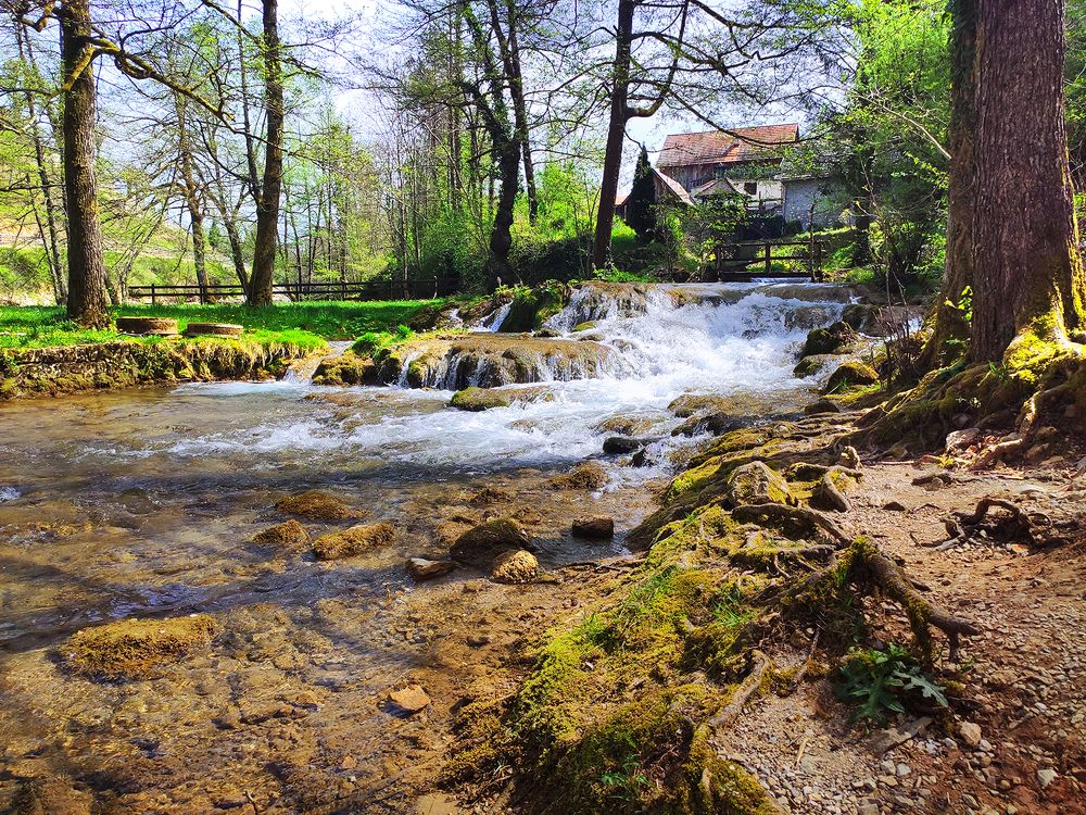 Photograph by Jasna Dragun