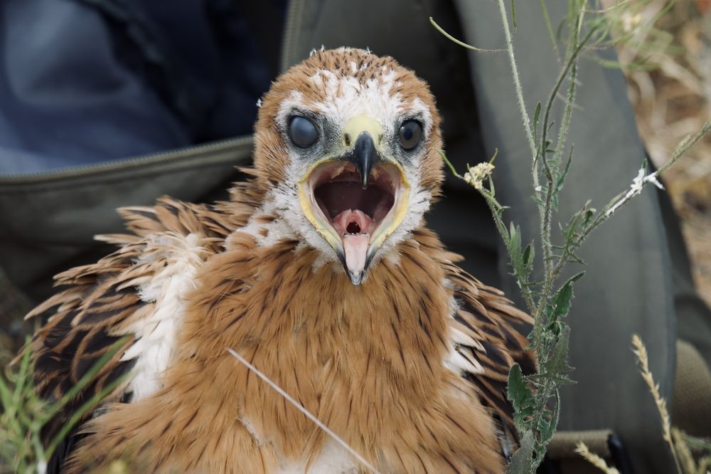 Photograph by Виктор Владимиров