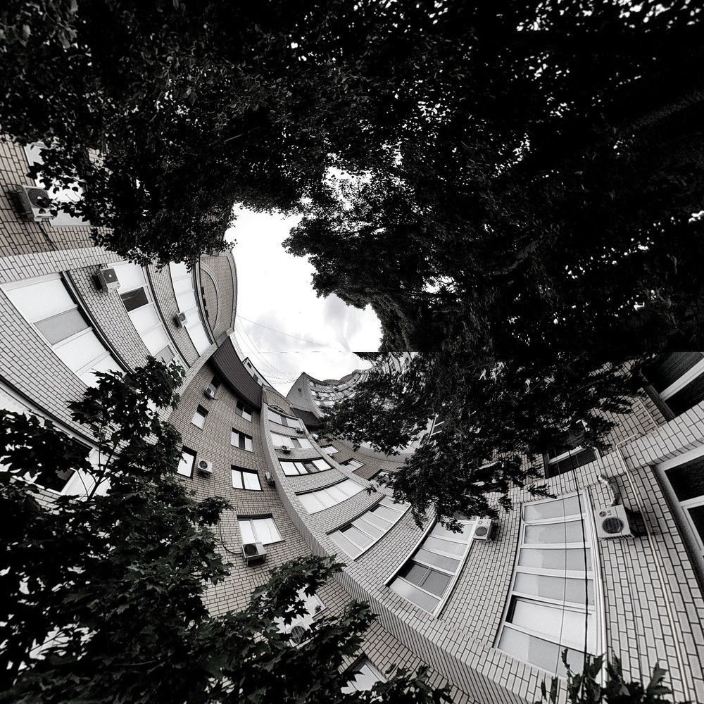 Photograph by Karina Yakovleva