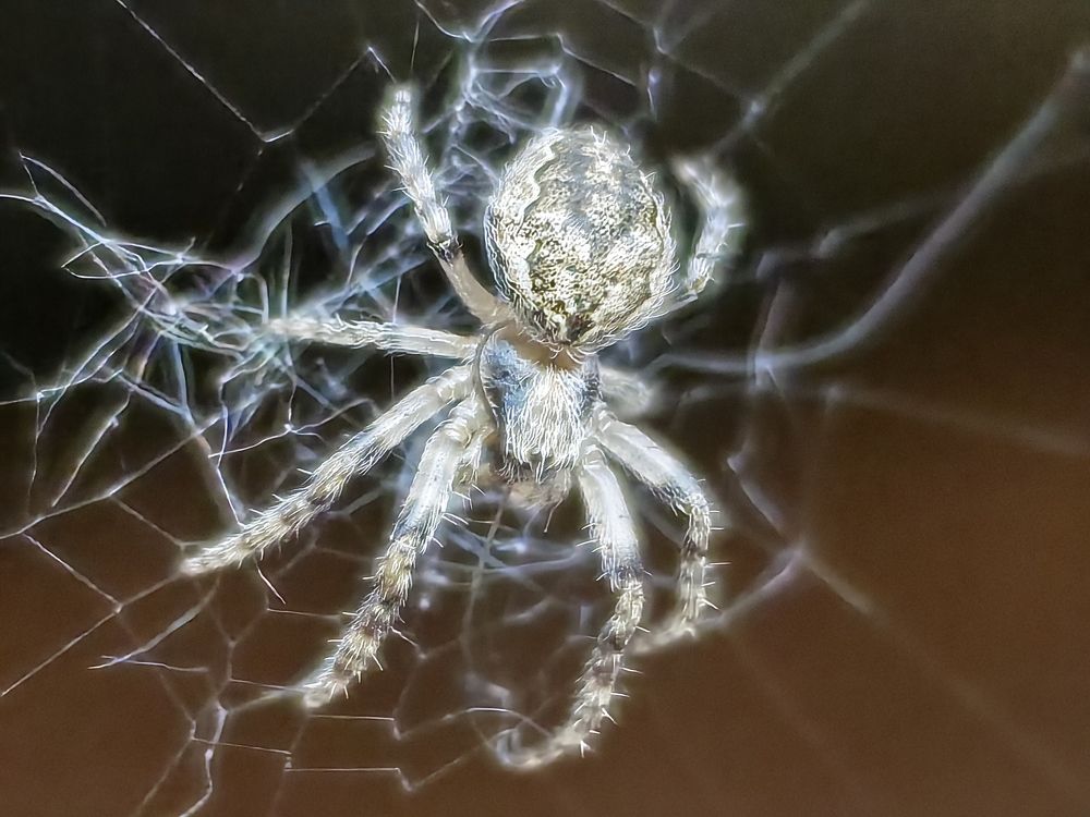 Photograph by Сергей Гриднев