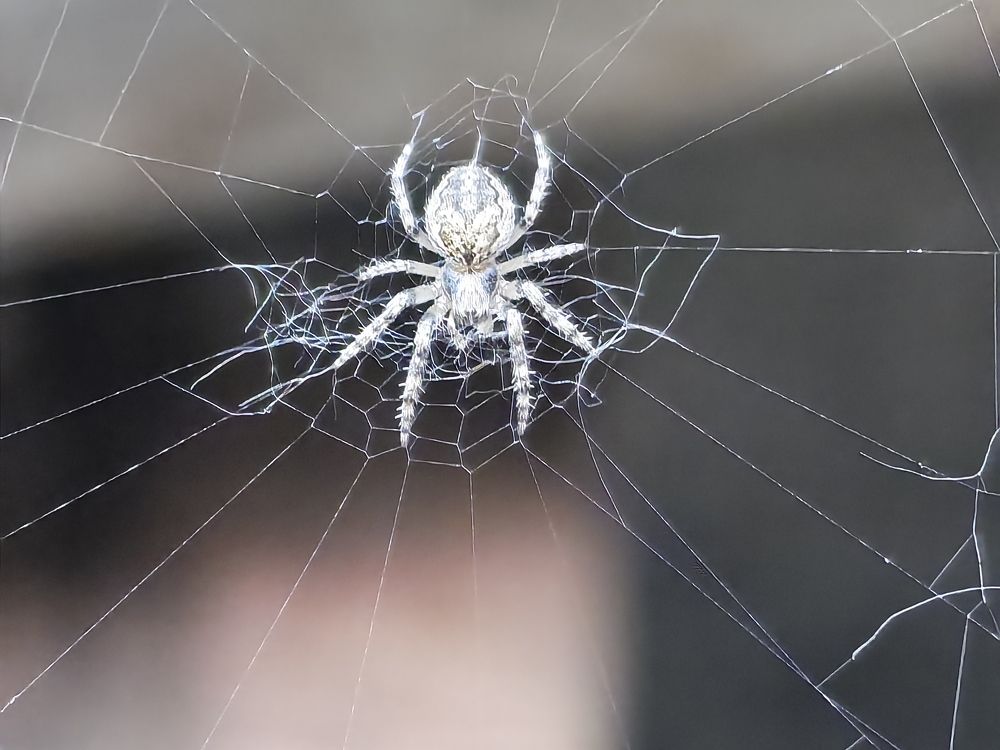 Photograph by Сергей Гриднев